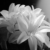 店内のインテリアが雰囲気を演出します。